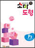 소마 도형 P3