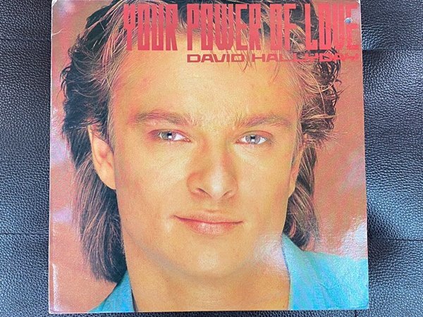 [LP] 데이비드 할리데이 - David Hallyday - Your Power Of Love LP [삼포니-라이센스반]