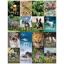 딩동~ 도감시리즈 16권세트