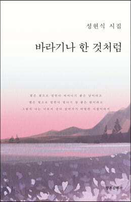 바라기나 한 것처럼