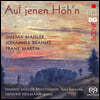 Hanno Muller-Brachmann 말러 / 브람스 / 마르탱 가곡 모음집 (Auf Jenen Hoh N - Mahler,Martin,Brahms)