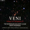 노르웨이 솔리스트 합창단 크리스마스 송 2집 - 민요와 캐럴 (Veni - Songs of Christmas II)