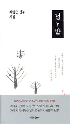 님 · 밤