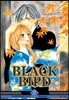 블랙 버드 (BLACK BIRD) 17