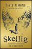 Skellig: the 25th anniversary illustrated edition