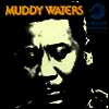 Muddy Waters - King of the Blues: The Best of Muddy Waters (Limited Edition)(LP)