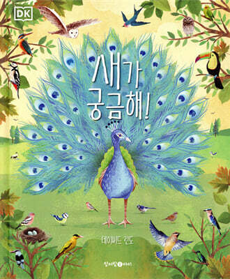 DK 새가 궁금해!