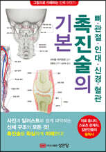 뼈 · 관절 · 인대 · 신경 · 혈관 촉진술의 기본
