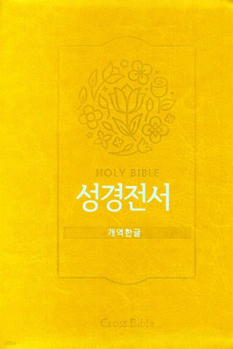 성경전서 (개역한글/62HC/지퍼식/머스타드)