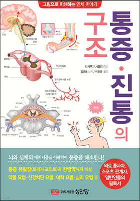 통증 진통의 구조