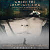 가재가 노래하는 곳 영화음악 (Where The Crawdads Sing OST by Mychael Danna) [LP]