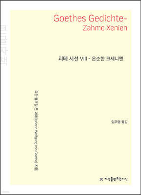 괴테 시선 8 (큰글자책)