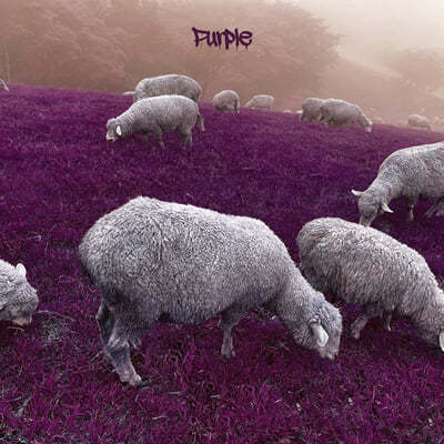 Attention 24 (어텐션 24) - Purple