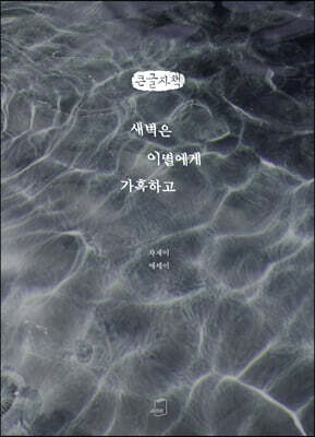 새벽은 이별에게 가혹하고 (큰글자책)