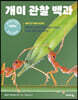 개미 관찰 백과