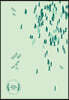 광장과 젠더