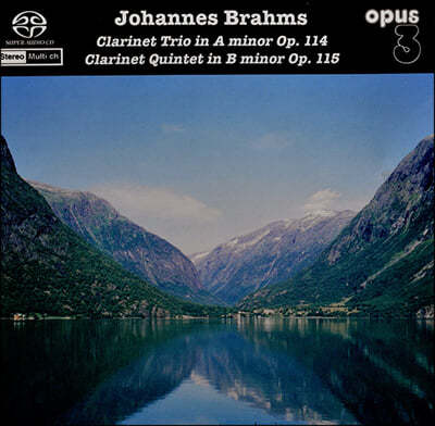 Kjell Fageus 브람스: 클라리넷 3중주, 클라리넷 5중주 (Brahms: Clarinets Trio In A Minor Op. 114 , Clarinets Quintet In B Minor Op. 115)