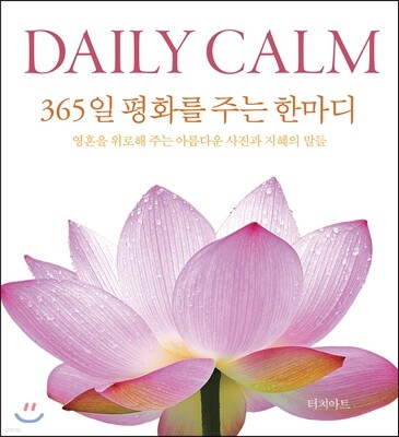 DAILY CALM 데일리 캄 : 365일 평화를 주는 한마디