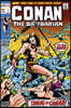 Conan the Barbarian: The Original Comics Omnibus Vol.1