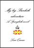 My big Burdish adventure - A Spanglish novel