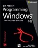 찰스 페졸드의 Programming Windows