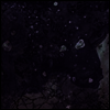 Pinkish Black - Razed To The Ground (LP)