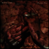 Water Liars - Phantom Limb (LP)