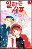 일하는 세포 프렌드 6