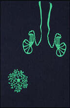 키키 스미스 - 자유낙하