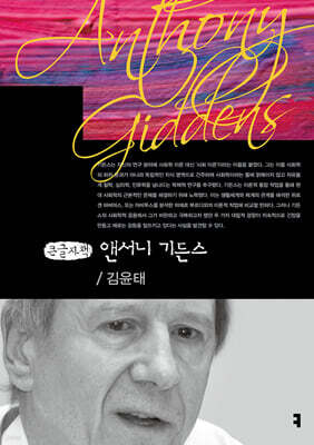 앤서니 기든스 (큰글자책)