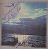 LYNDON BARTELL/I Feel A Strange Excitement In The Air [Paper-Sleeve]