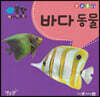 바다 동물
