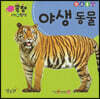 야생 동물