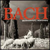 Linde Brunnmayr-Tutz 바흐: 플루트 소나타, 무반주 플루트 파르티타 (Bach: Flute Sonatas & Partita BWV 1034,1035, 1030, 1013 )