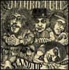 Jethro Tull (제쓰로 툴) - Stand Up [2LP]