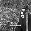 Kekht Arakh (케크트 아라크) - Night & Love [메탈릭 실버 컬러 LP]