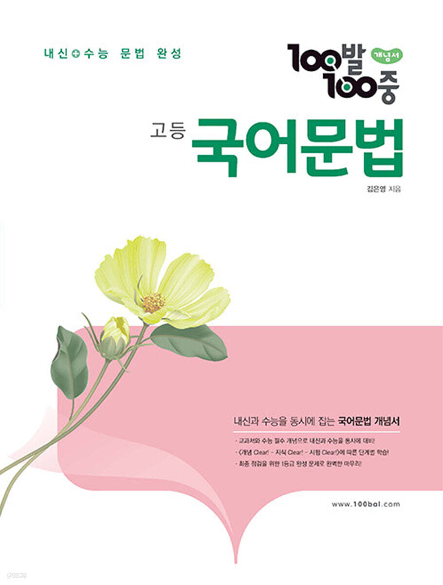 100발 100중 고등 국어 문법 개념서 (2025년용)