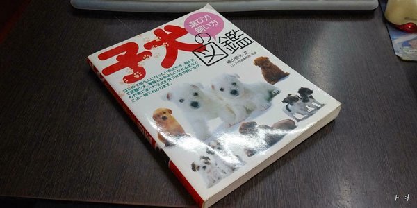 子犬の選び方?飼い方?鑑 일본어 원서 (실사진 첨부/ 상품설명 참조)코믹갤러리