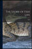 The Story of Fish Life