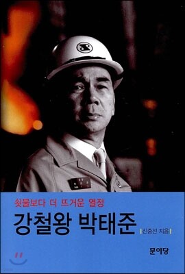 강철왕 박태준