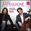 Gautier Capucon 슈베르트 : 아르페지오네 소나타 (Schubert : Arpeggione)