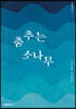 춤추는 소나무