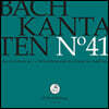 Rudolf Lutz 바흐: 칸타타 41집 (Bach: Cantatas BWV27, BWV122, BWV165)