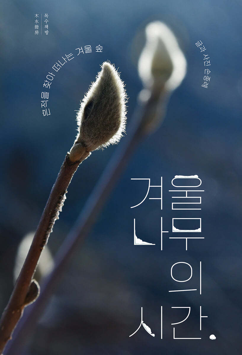 겨울나무의 시간