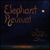 Elephant Revival - These Changing Skies (Download Code)(180G)(LP)