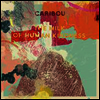 Caribou - Milk Of Human Kindness (LP+CD)