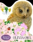 Olivia Owl