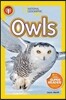National Geographic Kids Readers Level 1 : Owls