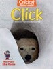Click (월간) : 2023년 01월