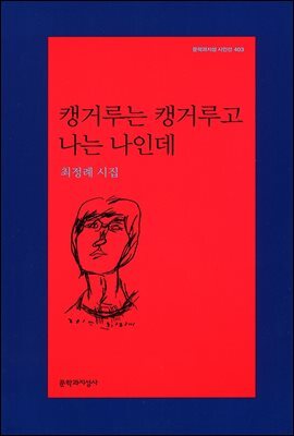 캥거루는 캥거루고 나는 나인데 - 문학과지성 시인선 403